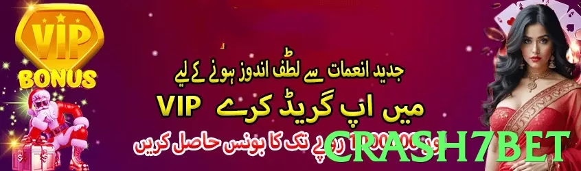 crash7bet interface sample - 3